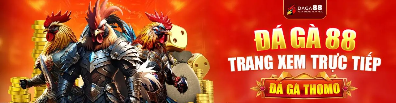 Đá Gà Trực Tuyến Hấp Dẫn tại 8xbet77 Đăng Nhập